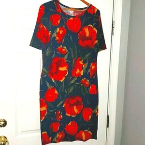 LulaRoe Floral Julia Dress Size XL